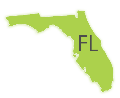 Lochloosa, Florida Depositions